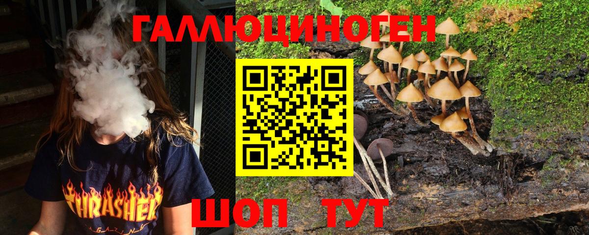 Псилоцибиновые грибы MAGIC MUSHROOMS Россошь
