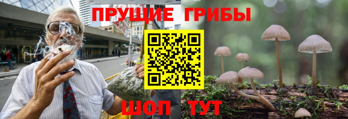 Россошь  Галлюциногенные грибы мицелий  Вход с VPN  Псилоцибиновые грибы мухоморы 